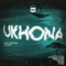 Ukhona (Fisto De Soul Remix) artwork