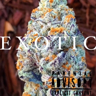 Exotic Freestyle - Single