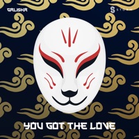 You Got the Love - Single - Galisha & Ian Storm