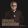 Mariana & Brumadinho - Single, 2019