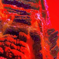 If You Could (feat. Starlight Jones) - Single - Spimonte