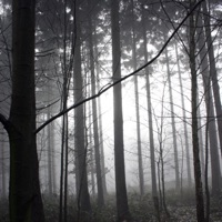 Enervate - Single - Boone