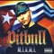 Culo - Lil Jon & Pitbull lyrics