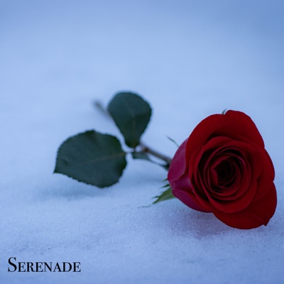 Serenade - Single