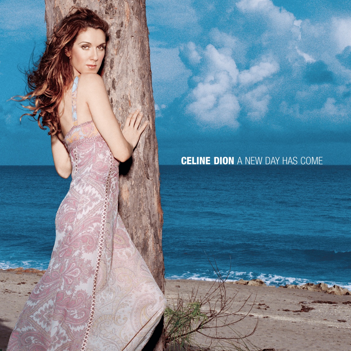 A New Day... Live In Las Vegas by Céline Dion on Apple Music