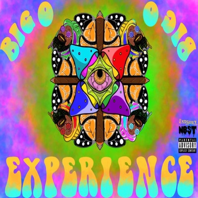 The Big O Experience