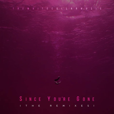 Since You're Gone (feat. Mukkubhai) [Mukkubhai Remix] - Single