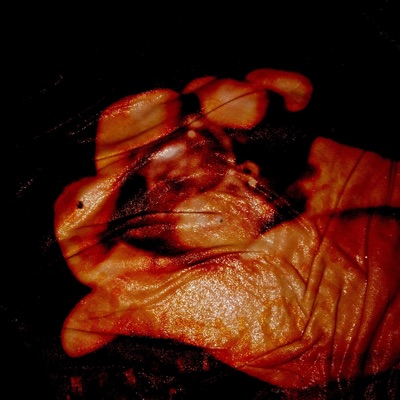 Before Rigor Mortis - EP