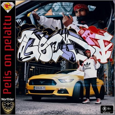 Pelis on Pelattu - Single
