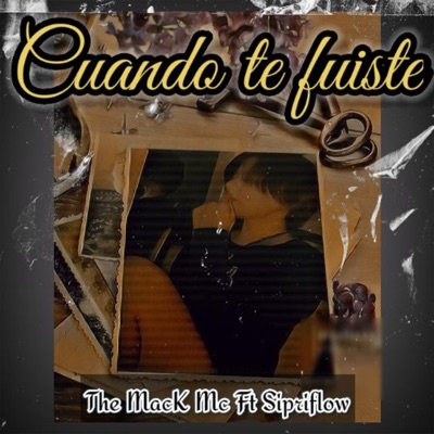 Cuando Te Fuiste (feat. Sipriflow) - Single