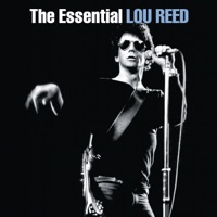 Walk On the Wild Side - Lou Reed