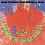 Blue Cheer - Good Times Are So Hard to Find