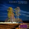 Karma Parking (feat. Jay Lewis) - Unified Synths lyrics