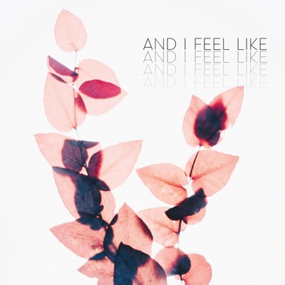 And I Feel Like (feat. Dominico Andretti) - Single