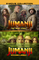 Sony Pictures Entertainment - Jumanji: Welcome to the Jungle/ Jumanji: The Next Level artwork