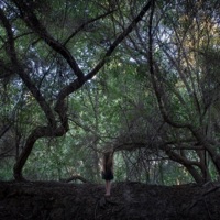 Ghost in the Woods (feat. Hila Plitmann) - Single - John Theodore