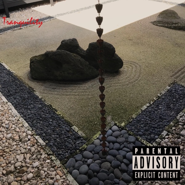 Tranquility (feat. Dex Canvas)