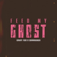 Feed My Ghost (feat. Shwabadi) - Single - Sinewave Fox