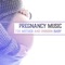 A Perfect Night - Nature Music Pregnancy Academy lyrics