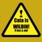 WILDIN! (feat. Dedboii Kez & Mir Blackwell) - Cata lyrics