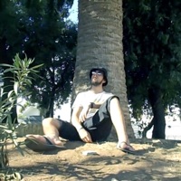 Palmy - Single - Lebman 38