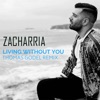 Living Without You (Thomas Godel Remix) - Single