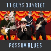 Possum Blues