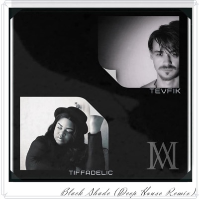 Black Shade (feat. Tevfik) [Remix] [Basso Coda Remix] - Single