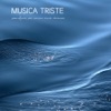 Franz Liszt Franz Liszt, Nocturne n.3 Musique Triste: Chansons Tristes et Musique Piano