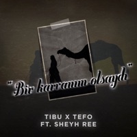 Bir Karvanım Olsaydı (feat. Sheyh Ree) - Single - Tibu & Tefo