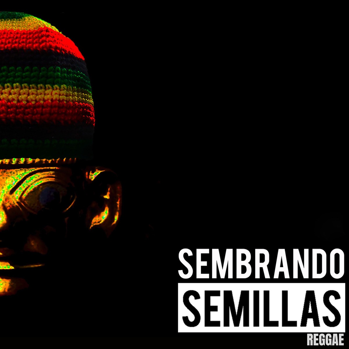 Argucias - Single - Album by Semillas Reggae - Apple Music