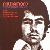 Neil Diamond - Sunday Sun