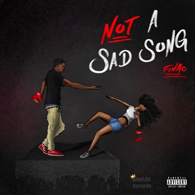 Not a Sad Song - Single