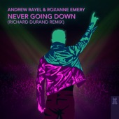 Never Going Down (Richard Durand Extended Remix) artwork