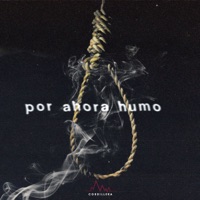 Por Ahora Humo - Single - Joqerr