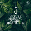 Nature Morning Alarm Ringtones: Birds, Rain & Ocean Waves - Mindfulness Meditation Music Spa Maestro