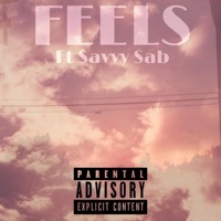 FEELS (feat. Savvy Sab) - Single - Dakshawil