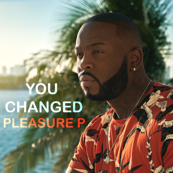 Cover artwork for You Changed