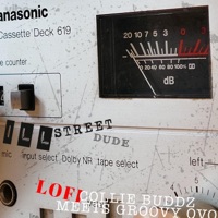 Lofi Collie Buddz Meets Groovy OVO - Single - Ill Street Dude