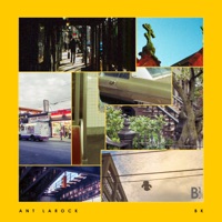 Bk - ANT LaROCK