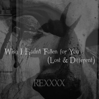 Wish I Hadn't Fallen for You (Lost & Different Redo.) - Single - REXXXX