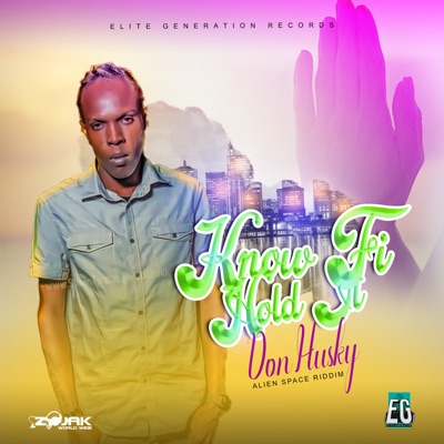 Know Fi Hold It - Single