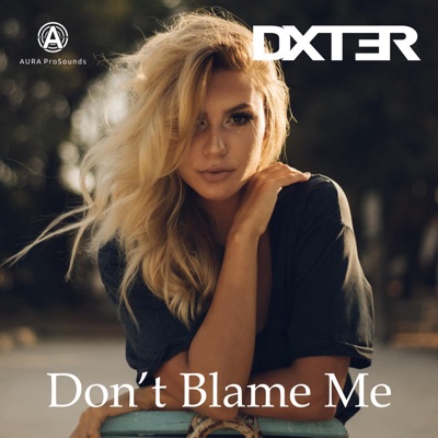 Don't Blame Me - Single