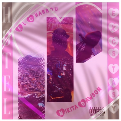 Hotel Excstasy (feat. Nikita Dawson) - Single