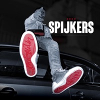Spijkers - Single - Orco