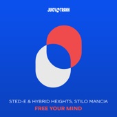 Free Your Mind (Extended Mix) artwork