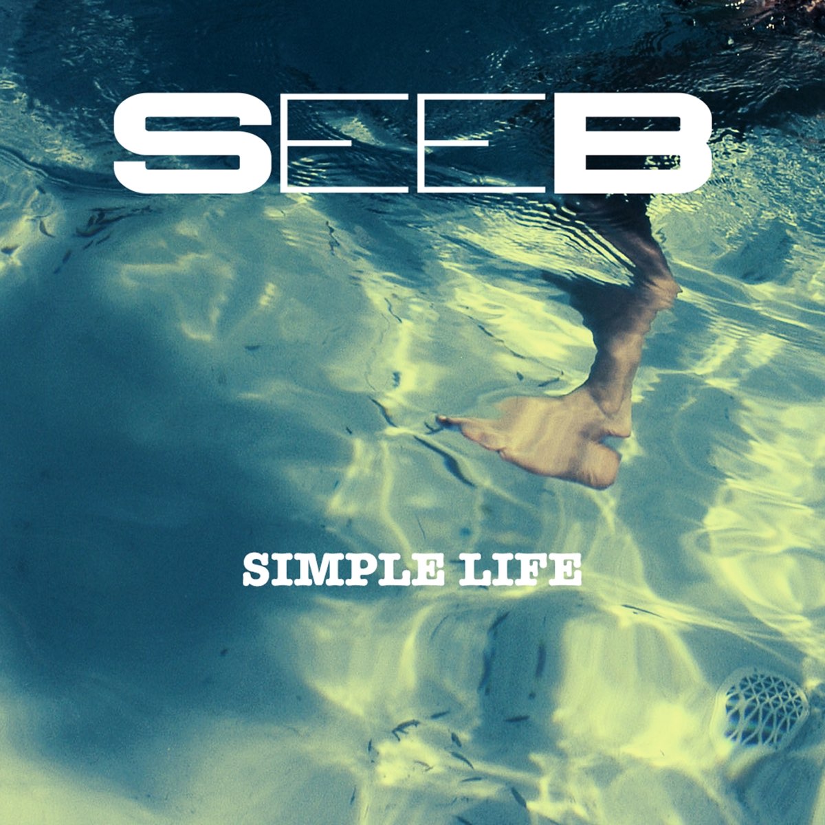 Simply life. Simple обложка. Seeb. Simple Life. Seeb Breathe фото.