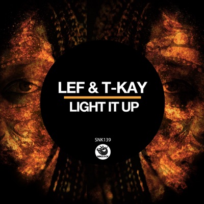 Light It Up - Single
