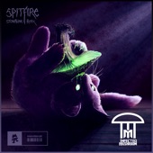 Spitfire (Stonebank Remix) artwork