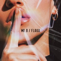 Flaka - Single - Mr.B